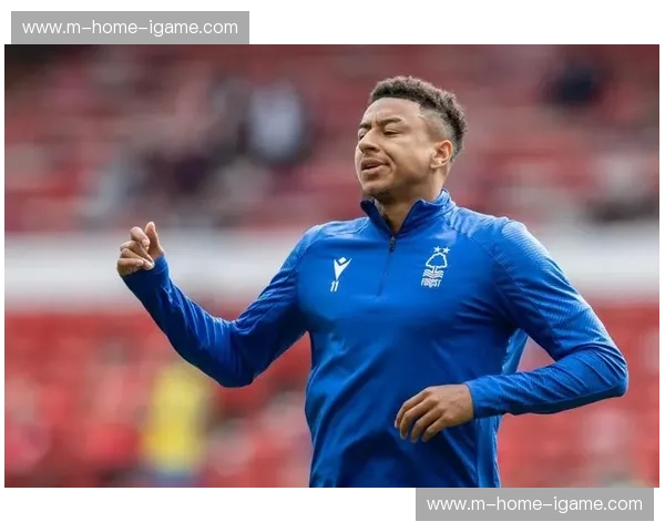 首尔FC林加德贡献三记助攻 前场组织核心作用明显 首尔FC林加德贡献三记助攻 前场组织核心作用明显